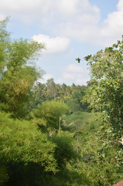 Wijaya 2*