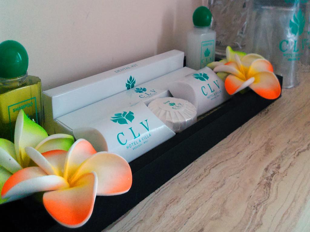 Hotel Clv & Bedugul (Bali)