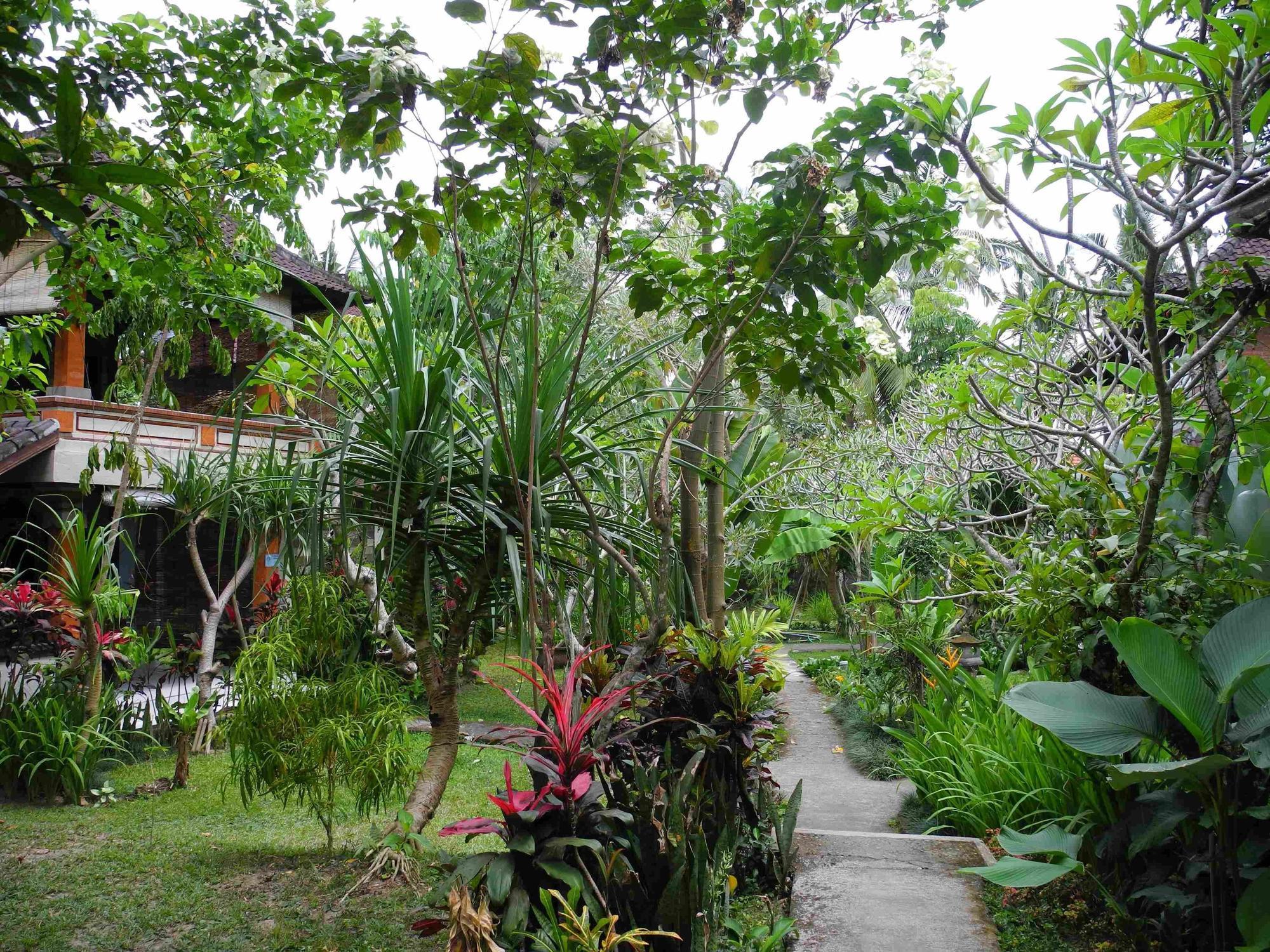 Recep Guest house
