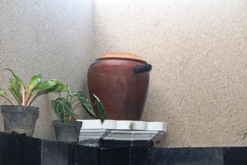 Pande Guest house 3*