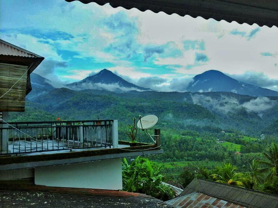 Homestay One And Warung *