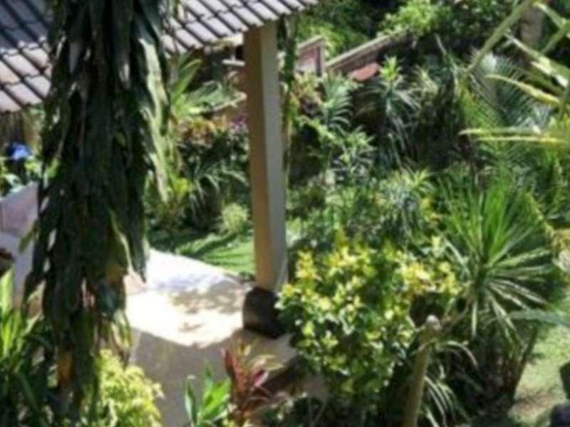 Ben's Homestay