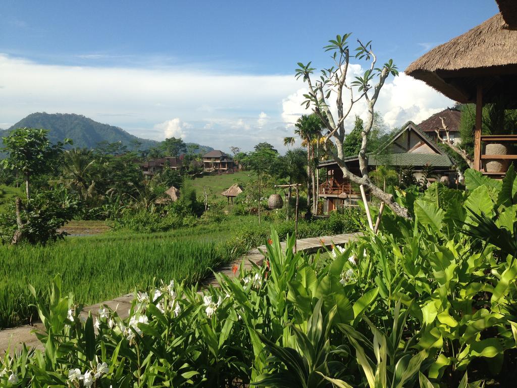 Guest house Sawah Indah