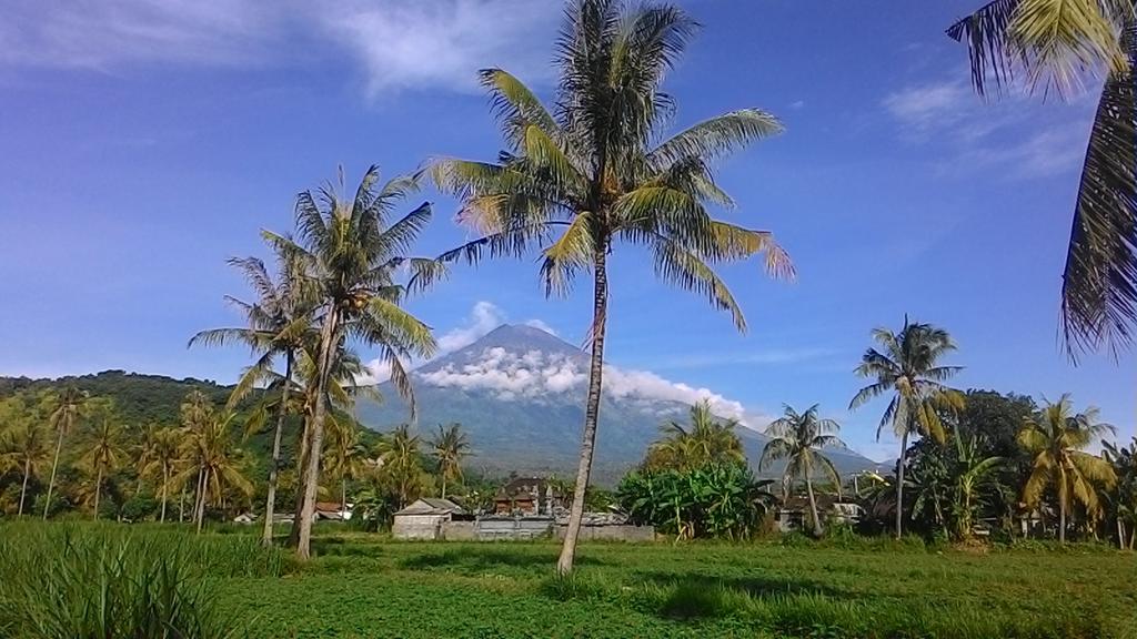 Paradise Warung & House Bali Guest house Amed (Bali)