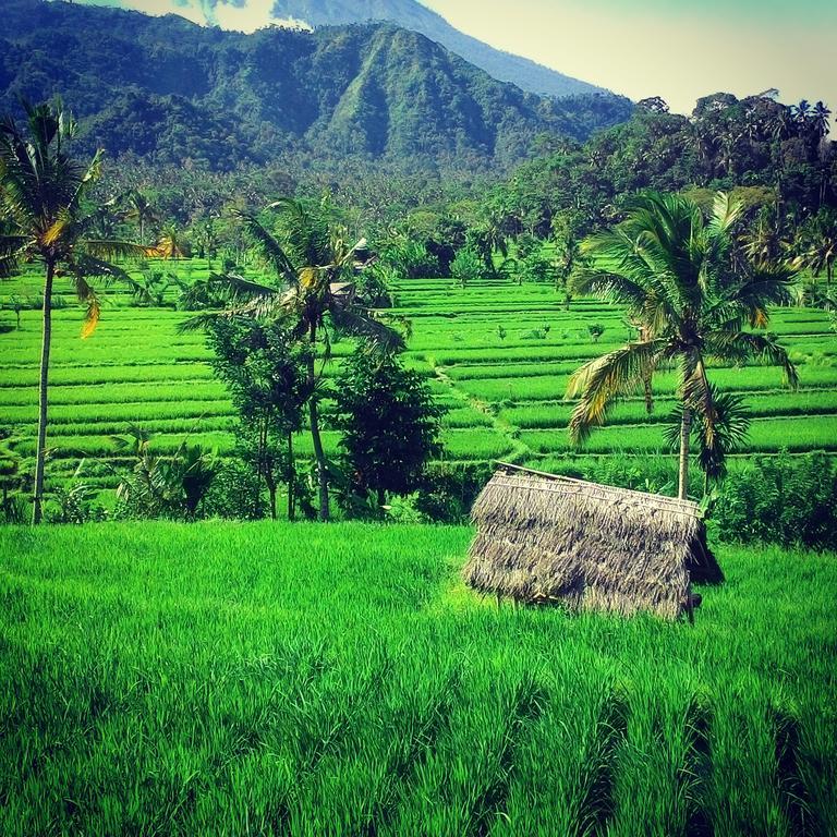Paradise Warung & House Bali Guest house Amed (Bali)