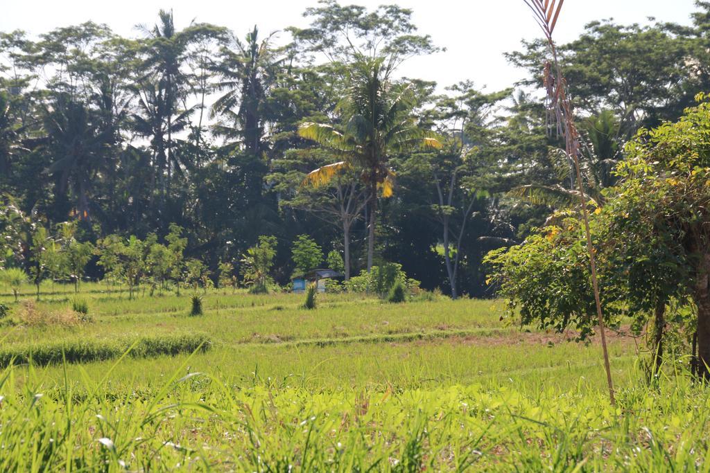 Pesantian Villa And Warung Guest house 4*