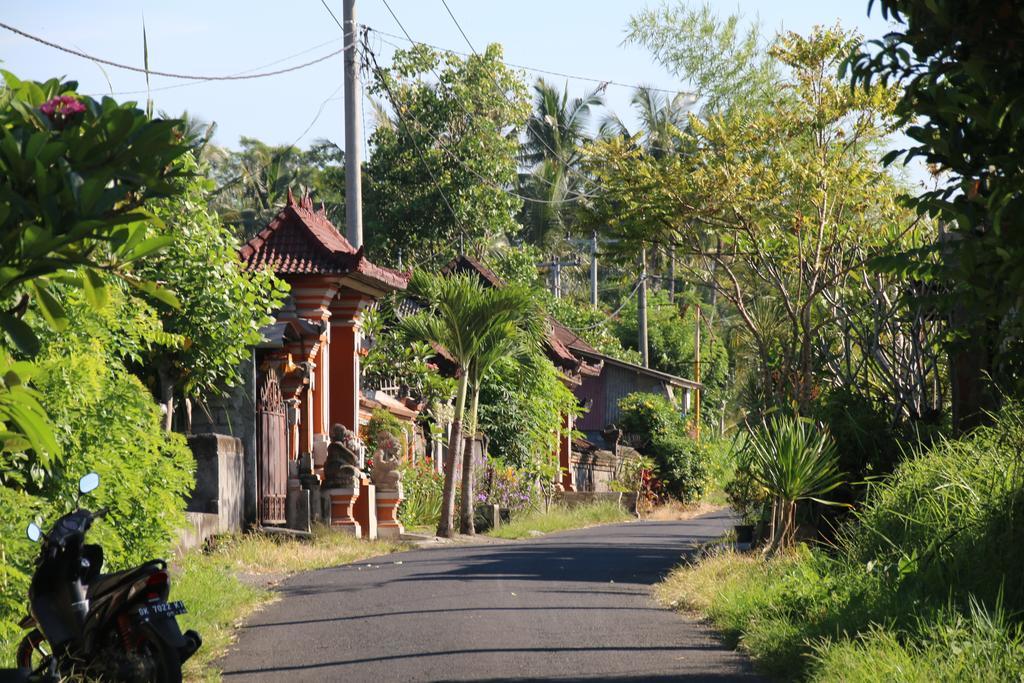Pesantian Villa And Warung Ubud (Bali)