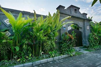 Bali Corail *