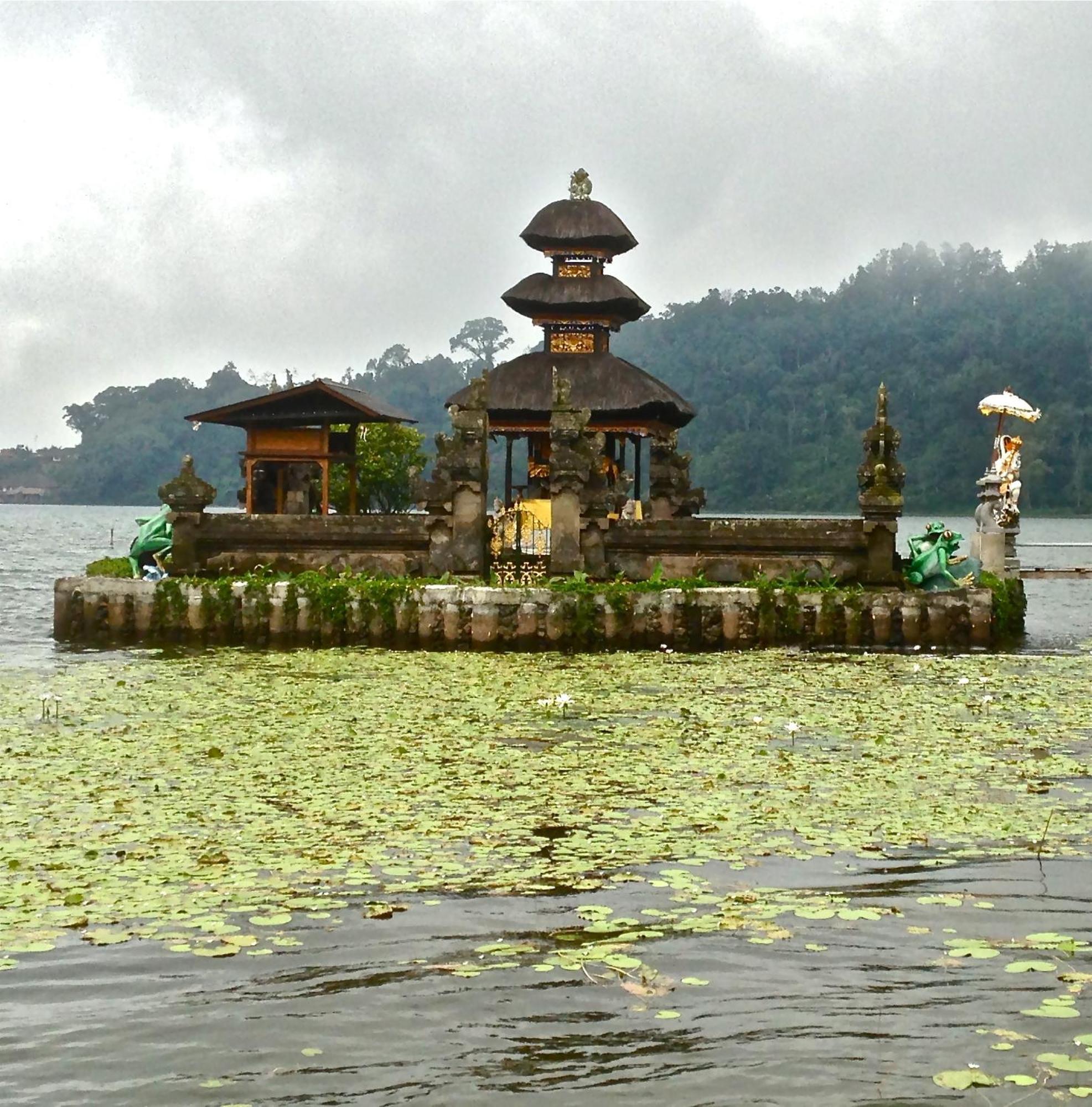 Padi Villa Canggu (Bali)