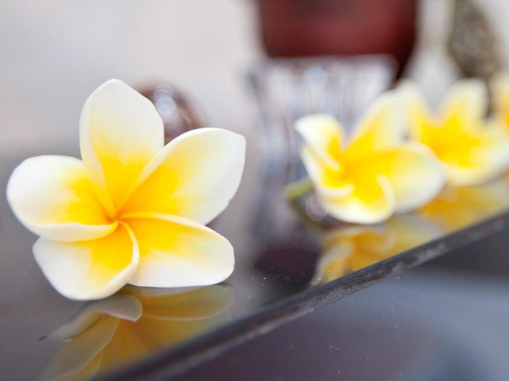Villa Ganesha Seminyak (Bali)