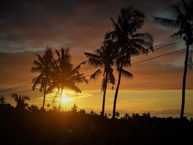 Lafyu Bali Holiday park Singaraja (Bali)