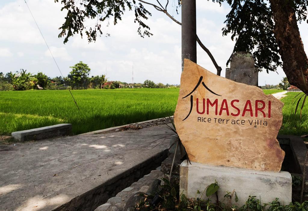 Umasari Rice Terrace By Agata