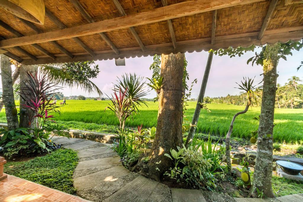Umasari Rice Terrace By Agata Villa Tabanan (Bali)