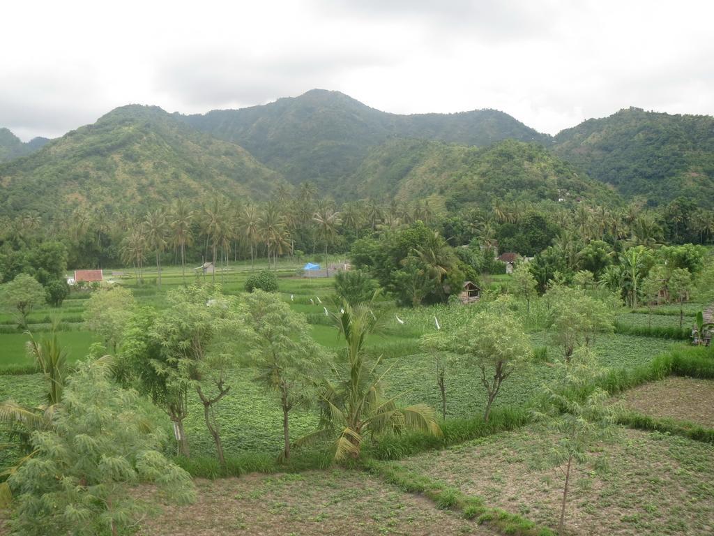 Homestay Mesari & Warung Amed (Bali)