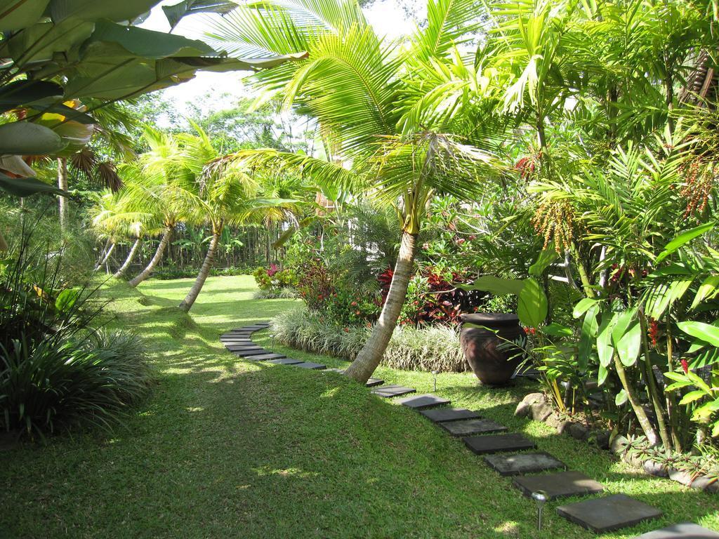 Jendela Di Bali * Tegallalang (Bali)