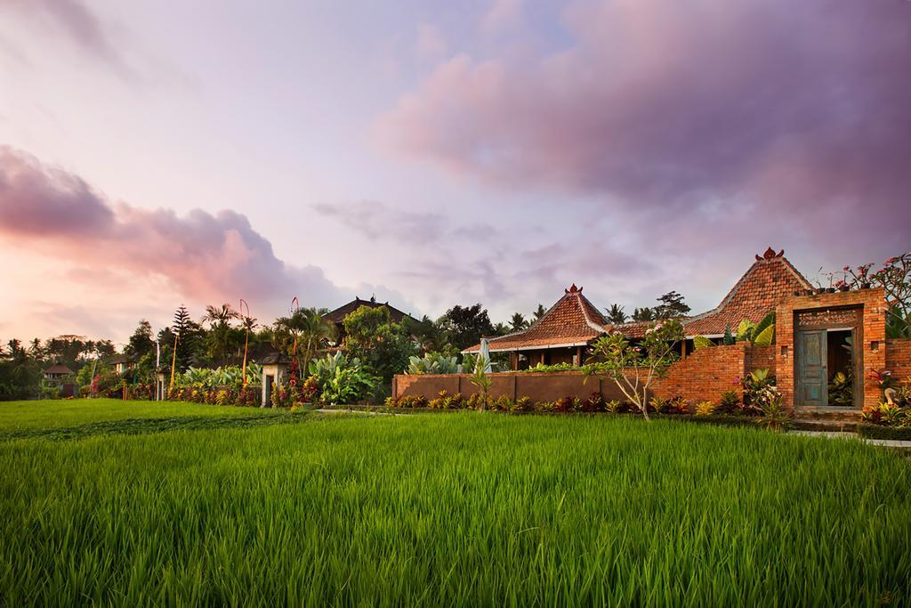 Resor Naya 3*
