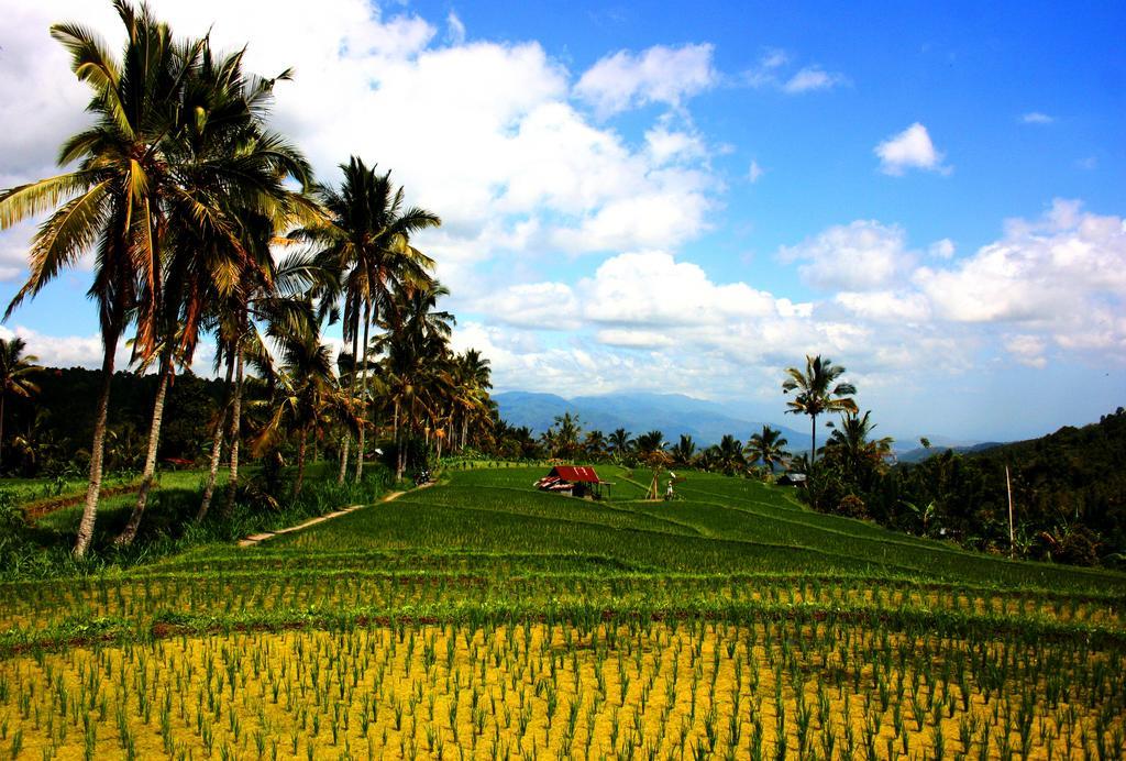 Puri Alam Bali Guest house Munduk (Bali)