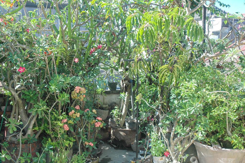 Bed & Breakfast Tari