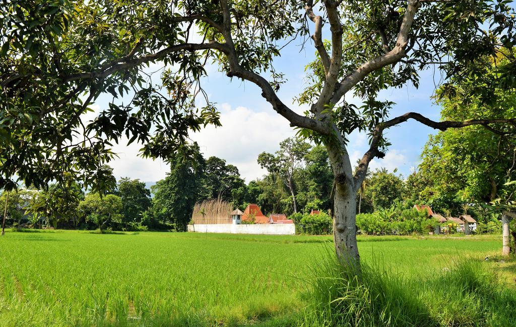 Villa Lata Lovina (Bali)