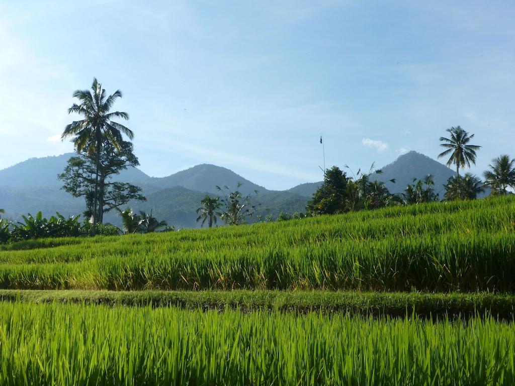 Lesong And Restaurant Hotel