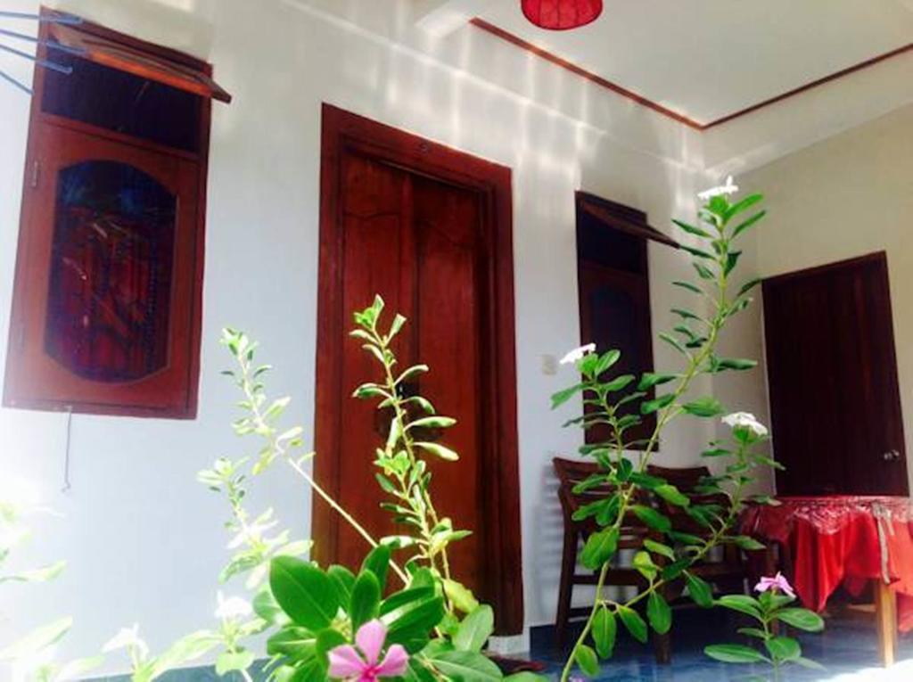 Lily Beach Guest house