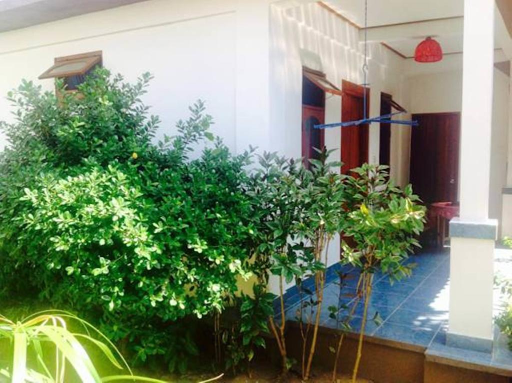 Lily Beach Guest house