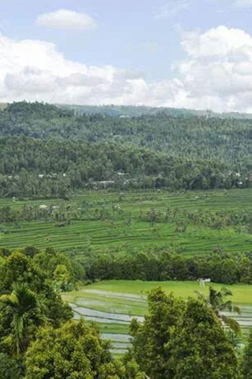 Bali Rahayu