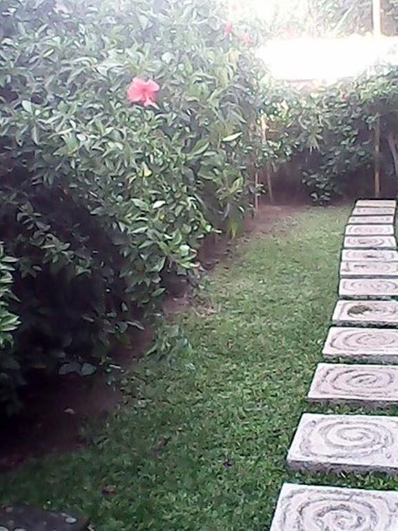 Bali Sari