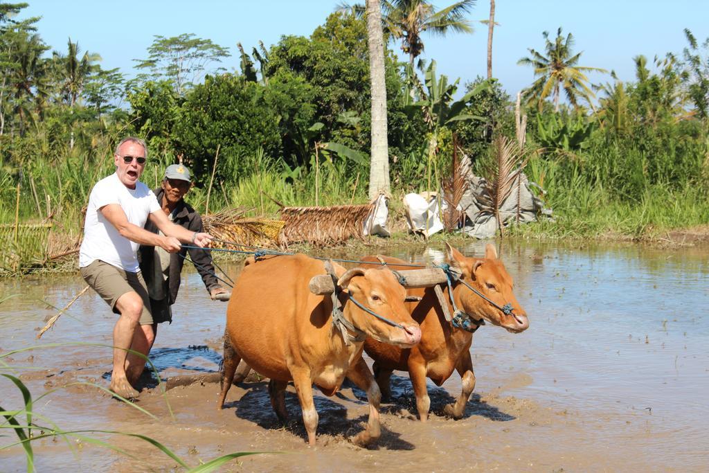Resort De Umah Bali Eco Tradi