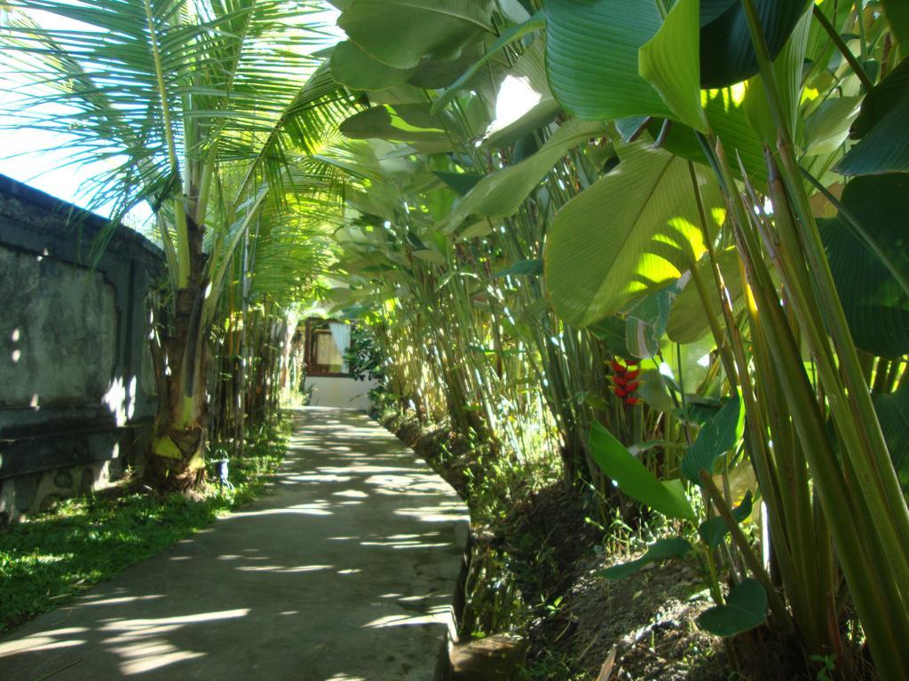 Atres Munduk (Bali)