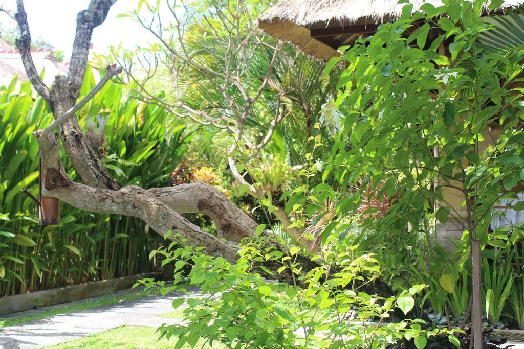 Bali Agung Village - Chse Certified Seminyak (Bali)