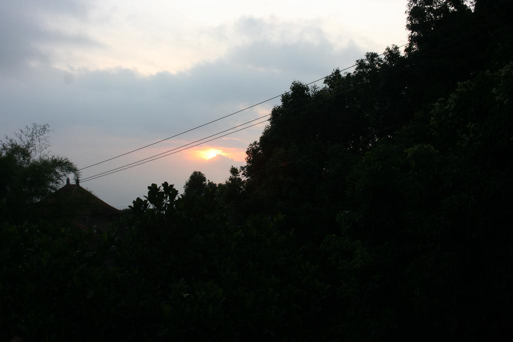 Guest house Puri Alam Bali 2*