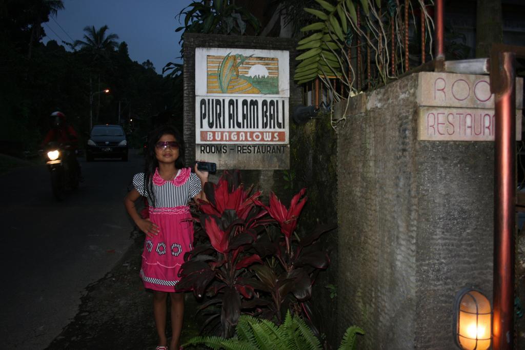 Puri Alam Bali Munduk (Bali)