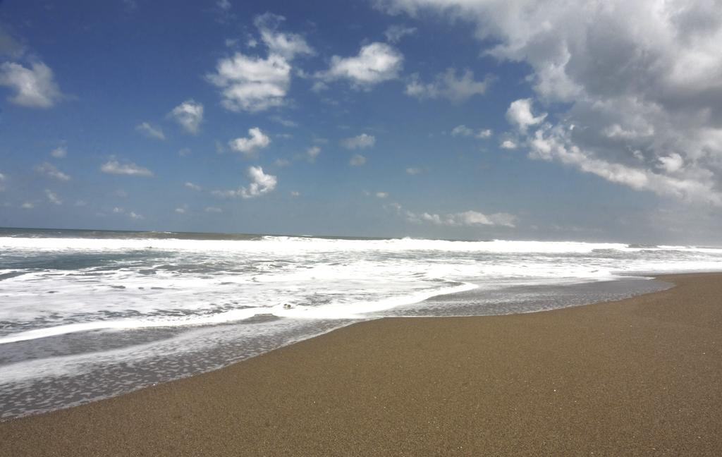 Savannah Canggu (Bali)