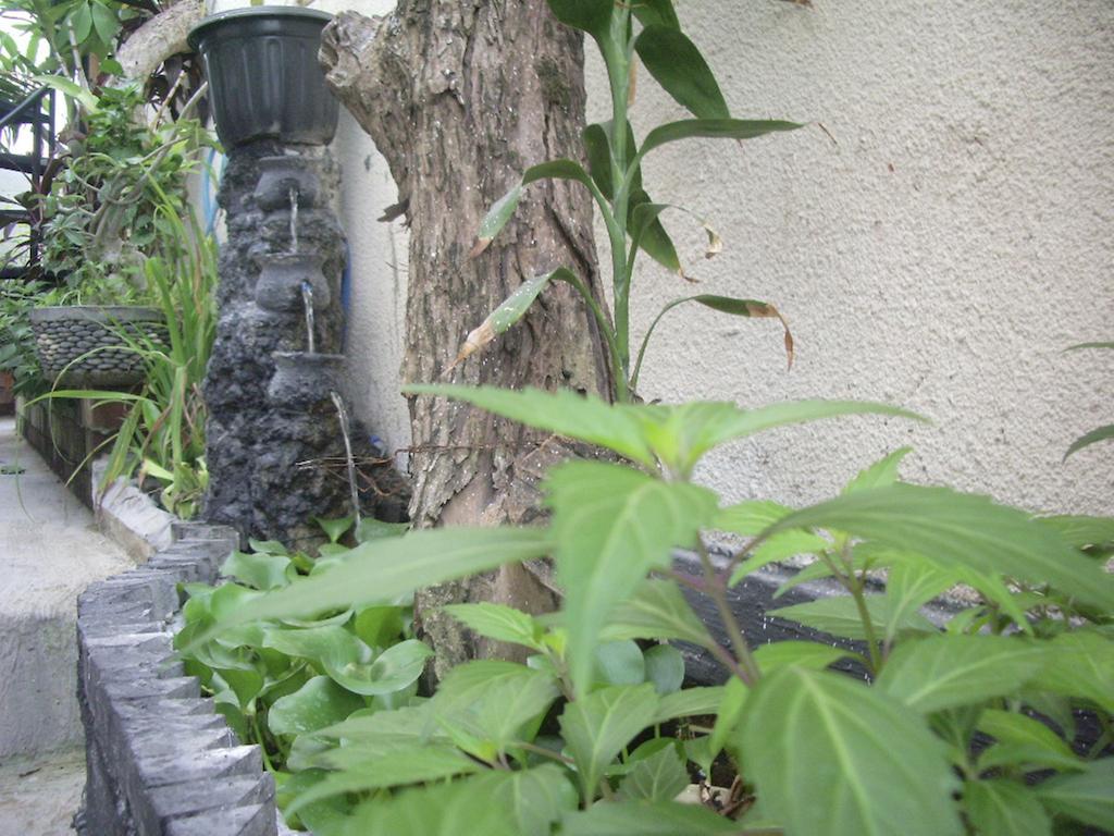 Hotel Gusti Homestay *