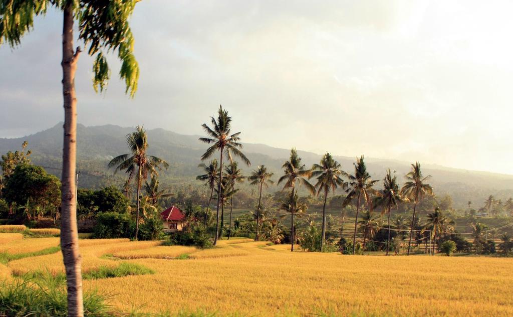 Holiday park Lafyu Bali