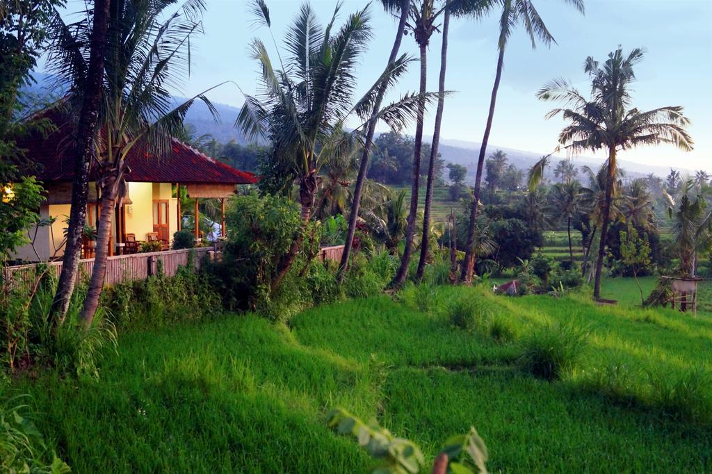 Lafyu Bali