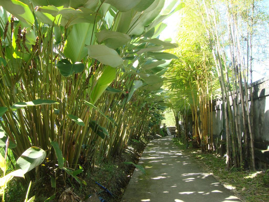 Taman liburan Atres Munduk (Bali)