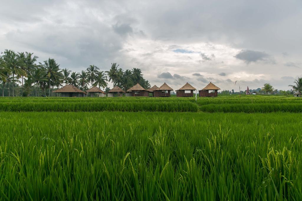 Holiday home Solo & Retreat Ubud (Bali)