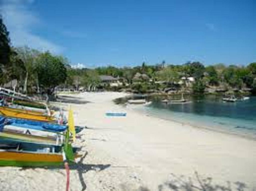 The Cozy Villas Lembongan