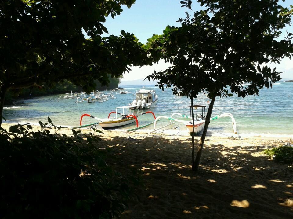 Penginapan Topi