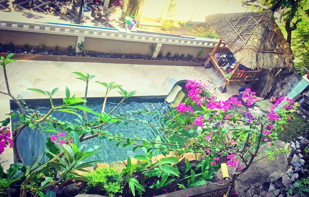 Guest house Paradise Warung & House Bali Amed (Bali)