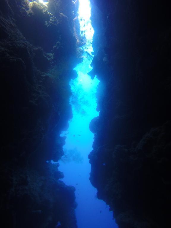 Homestay Biorock & Dive Center Pemuteran (Bali)
