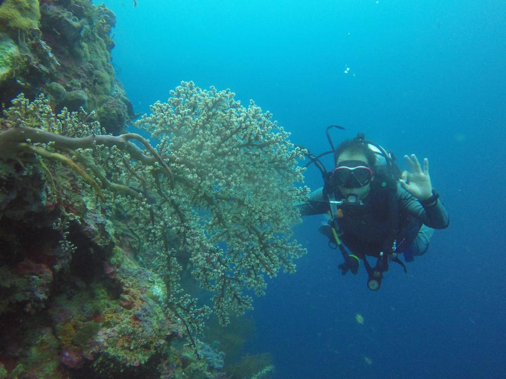 Biorock & Dive Center Pemuteran (Bali)