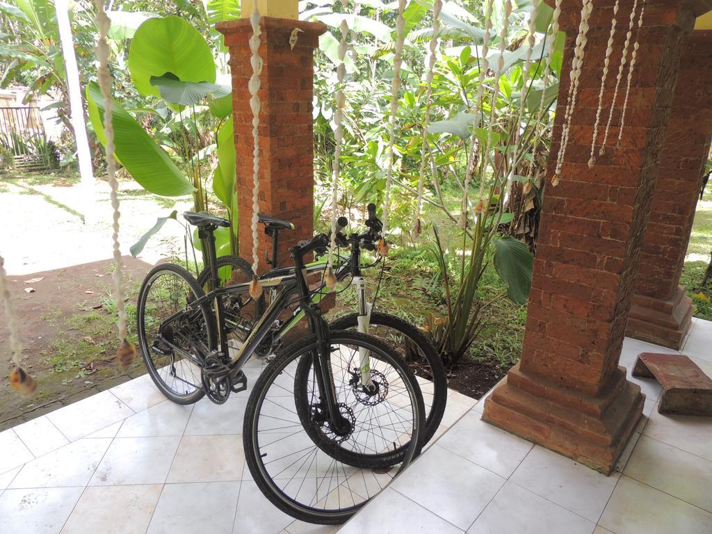Homestay Tegal Jero Jatiluwih