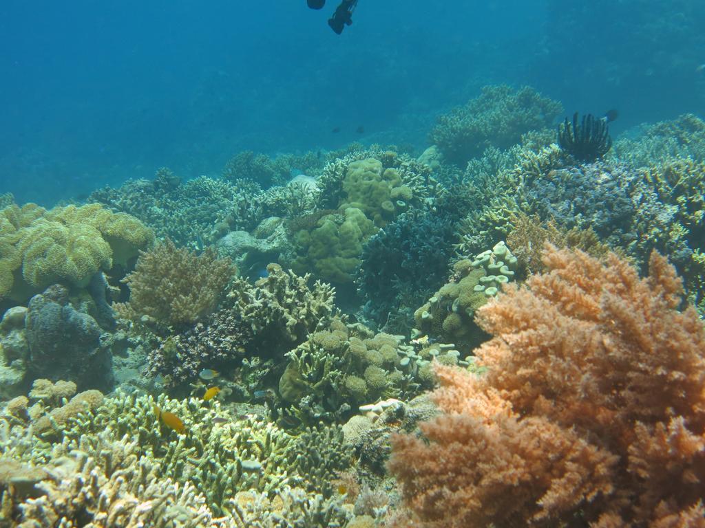 Pande Pemuteran (Bali)