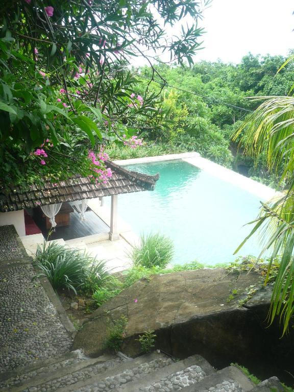 Baliku Dive Holiday park Amed (Bali)