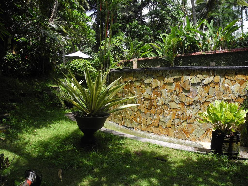 Holiday park Jineng 3*