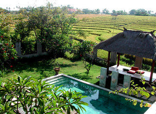 Onga Bali