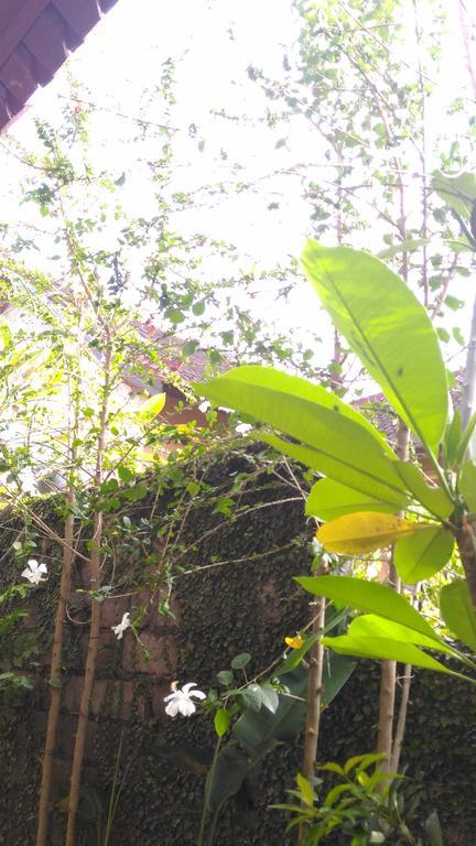 Homestay Santa Fe & Warong *